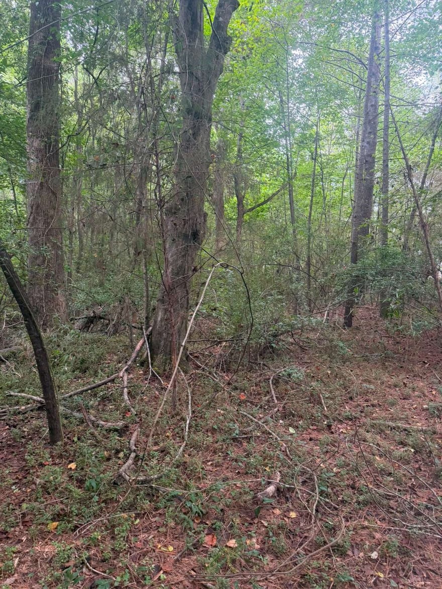 822 Tabby Lane, Athens, Georgia