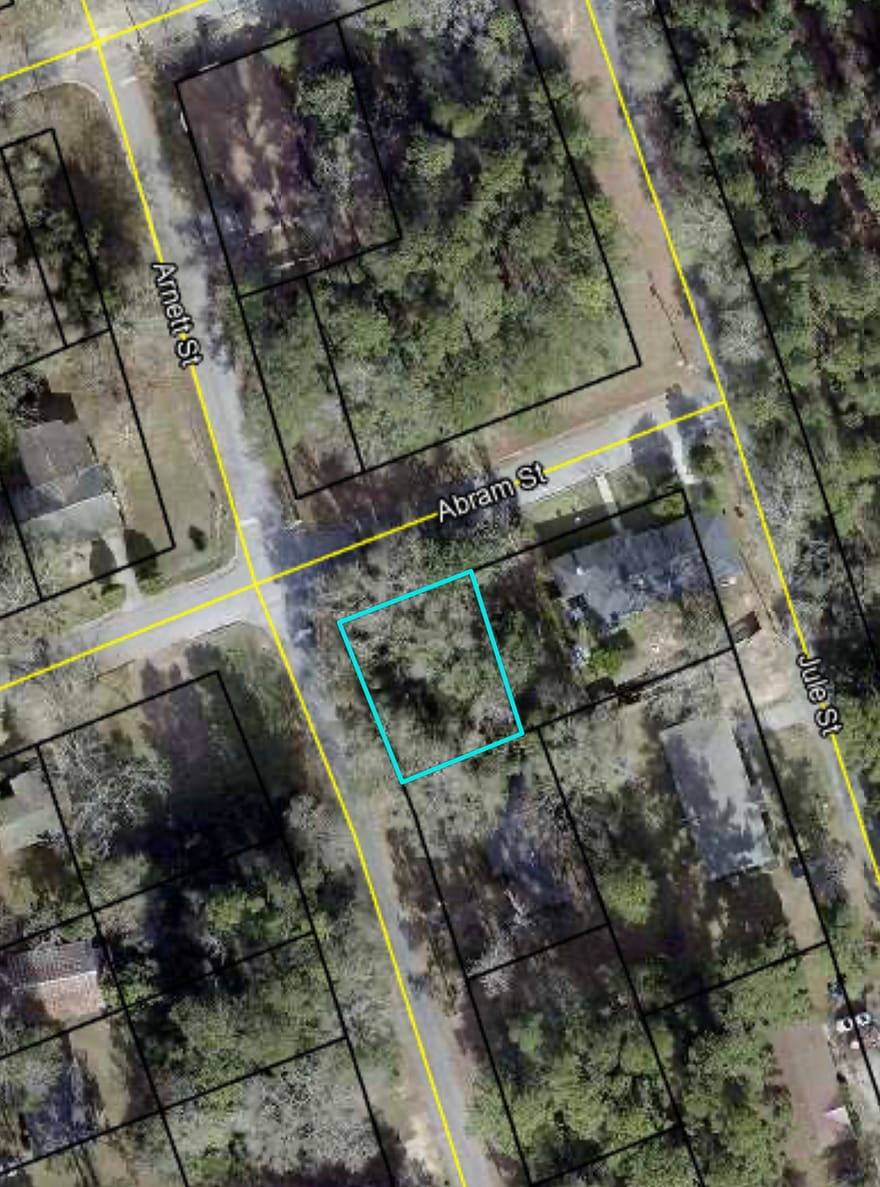 Abram Street, Sylvania, Georgia