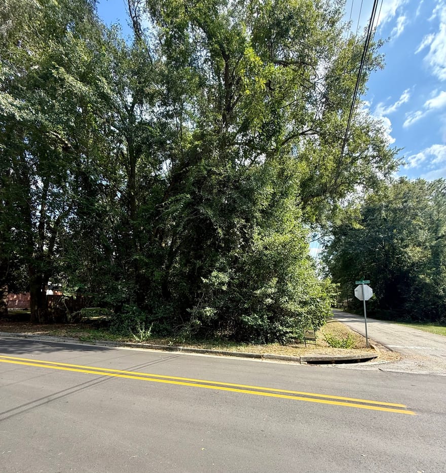 Abram Street, Sylvania, Georgia