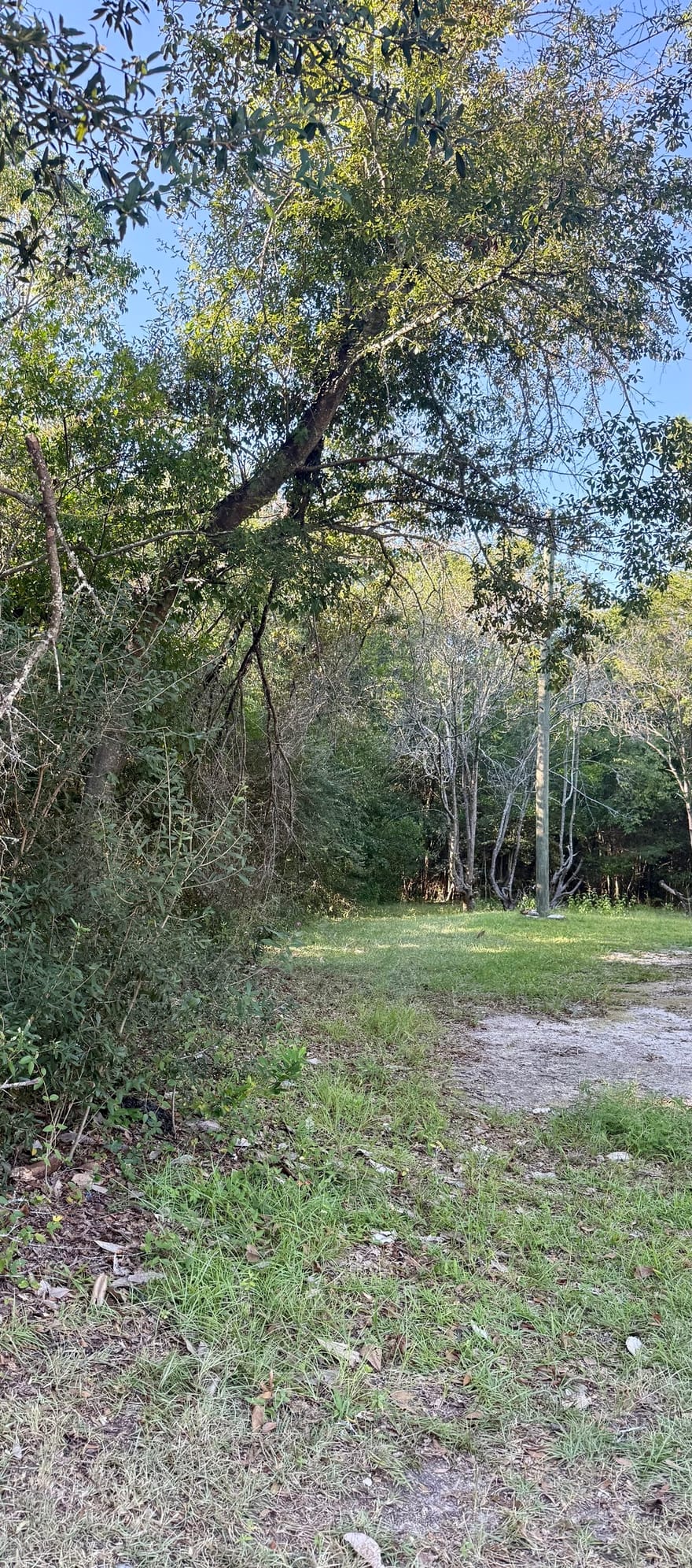 Isabel Street, Sylvania, Georgia