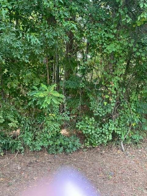 LOT  398 Little River Drive SW, Eatonton, Georgia