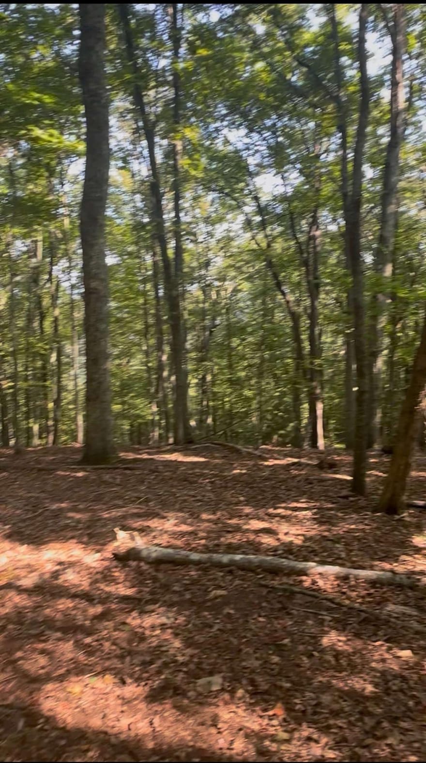 Brooks Ridge Road, Mineral Bluff, Georgia