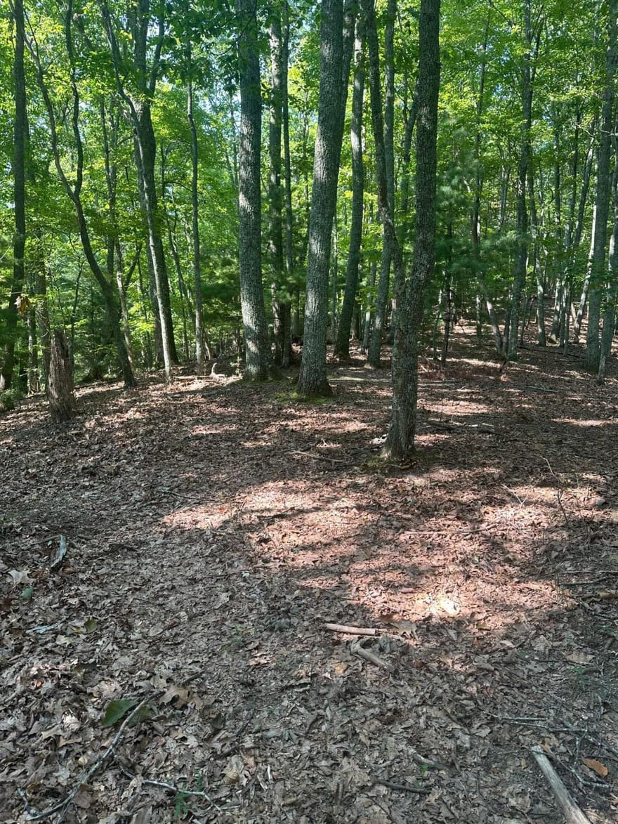 Brooks Ridge Road, Mineral Bluff, Georgia
