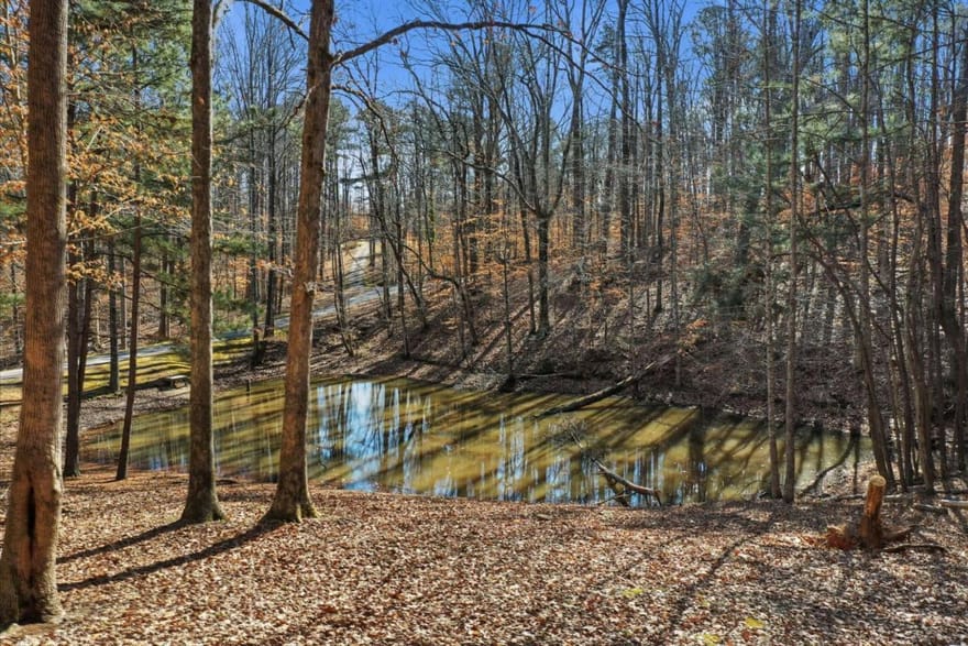 437 Twin Lakes Drive, Canton, Georgia