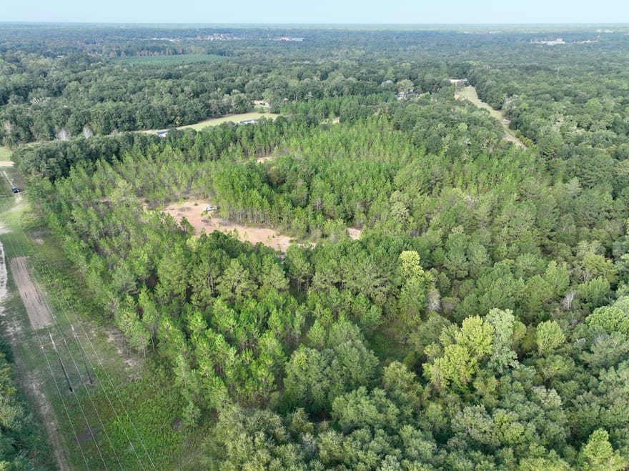 Carol Drive, Hawkinsville, Georgia