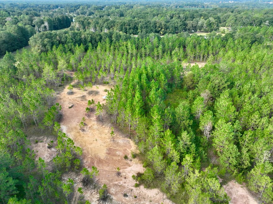 Carol Drive, Hawkinsville, Georgia