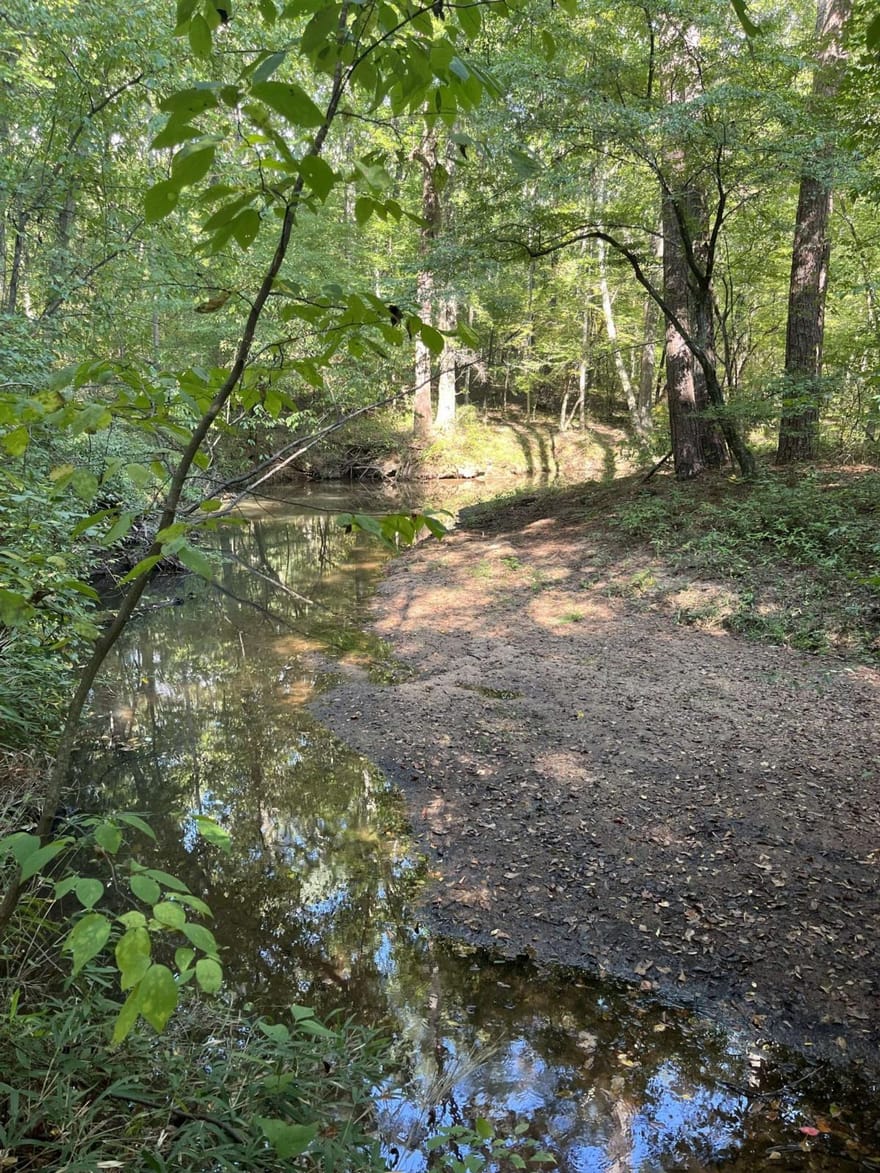 46 Creek Ridge, Winterville, Georgia