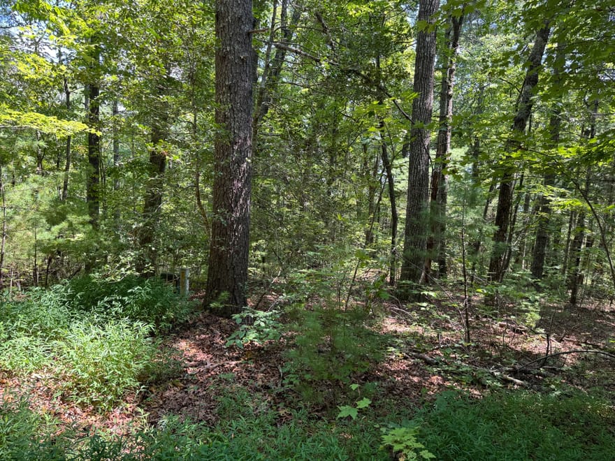 Baylaurel Drive, Helen, Georgia