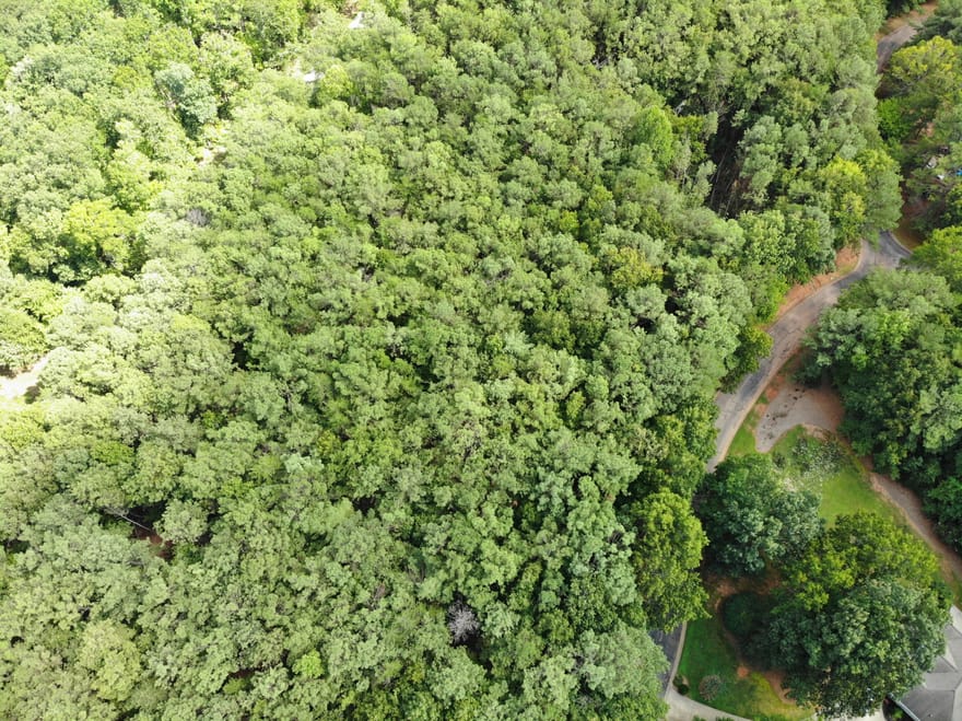 Cider Ridge, Clarkesville, Georgia