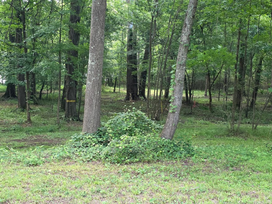 1070 Apalachee Shoals Court, Madison, Georgia