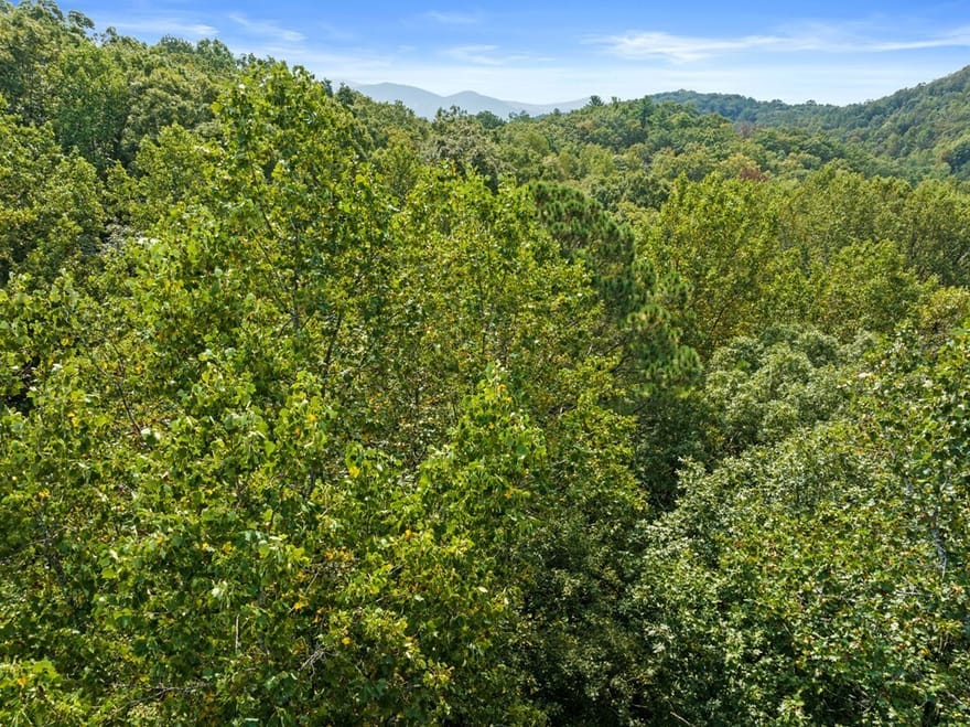 23 B Double Knob, Cherry Log, Georgia