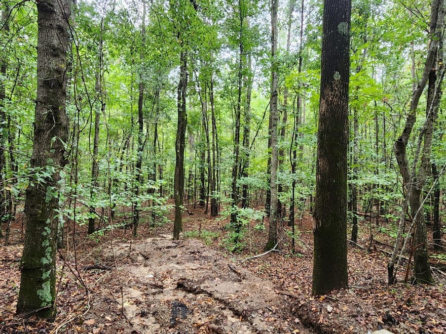 2090 Linton Road, Sparta, Georgia