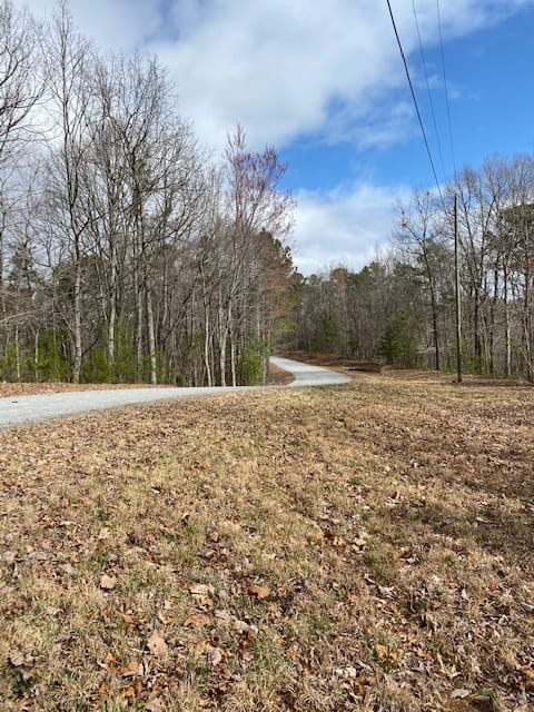 LT 54 Honeysuckle Way, Ellijay, Georgia