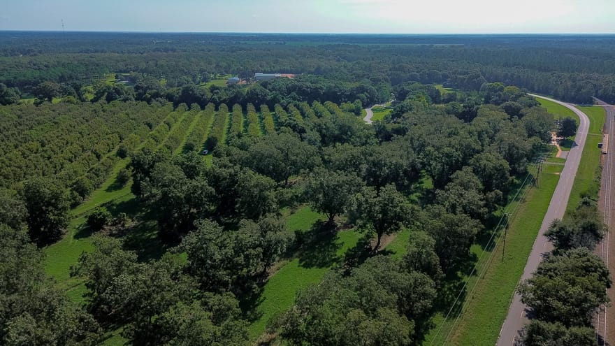 412 Old Plains Road, Plains, Georgia