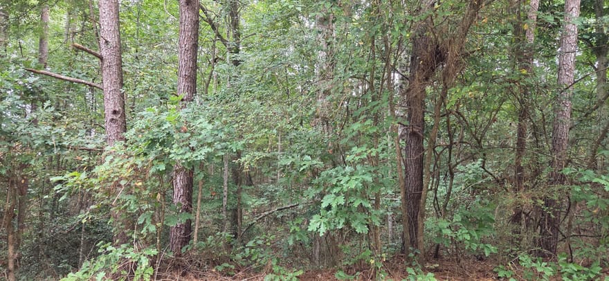 2678 Sleepy Hollow Road, Monroe, Georgia