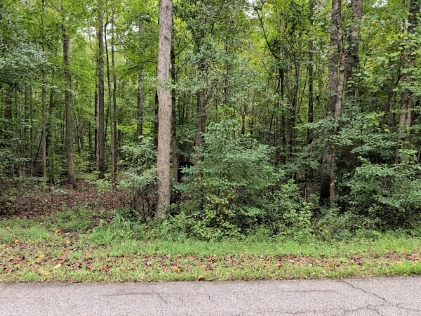 194 Tahoe Trail, Martin, Georgia