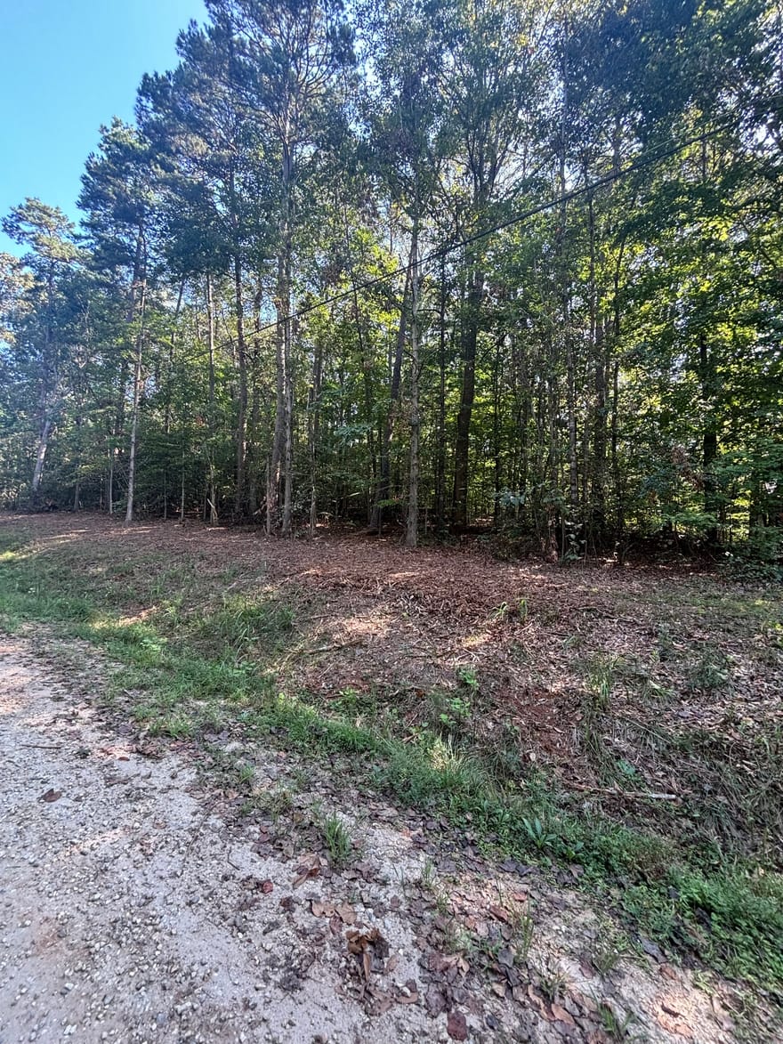 Oakwood Road, Lavonia, Georgia