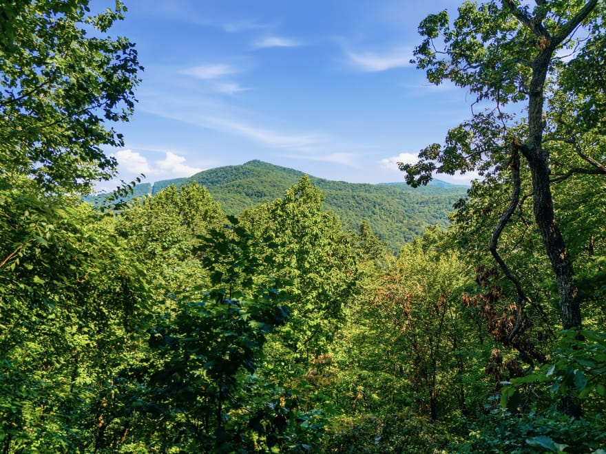 445 Orchid Trail, Clayton, Georgia
