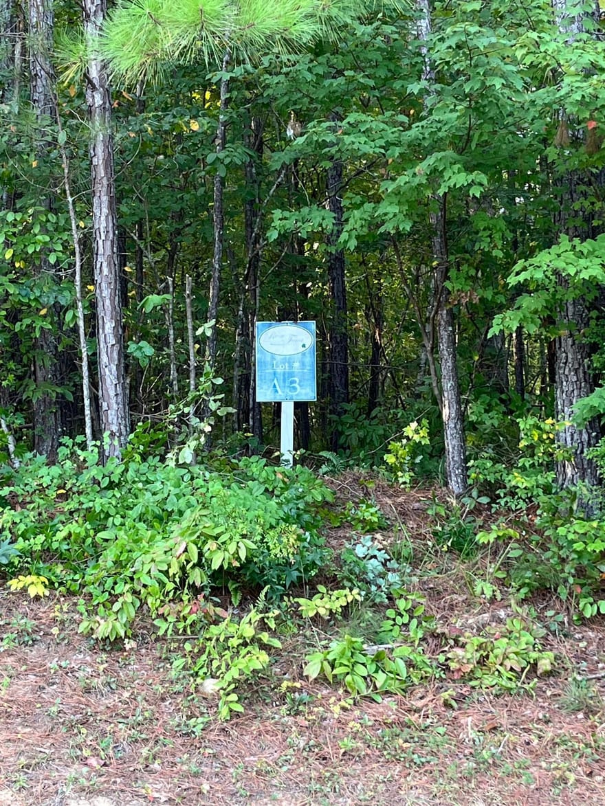 205 River Overlook, Forsyth, Georgia