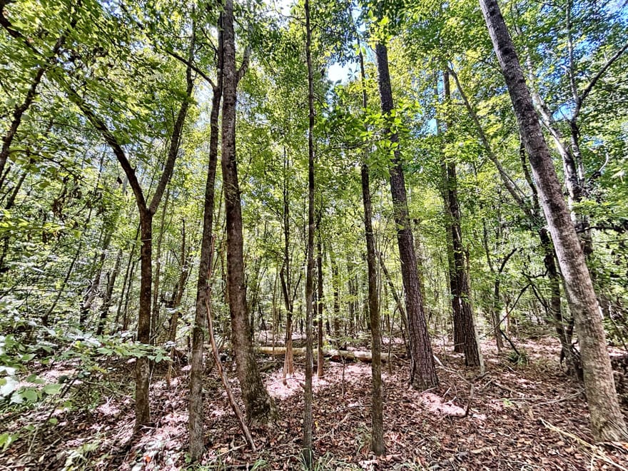 Columbus Road, Lizella, Georgia