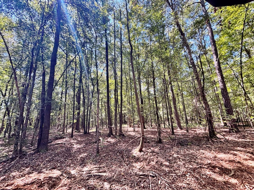 Columbus Road, Lizella, Georgia