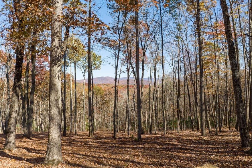 19R Settlement Trail, Ellijay, Georgia