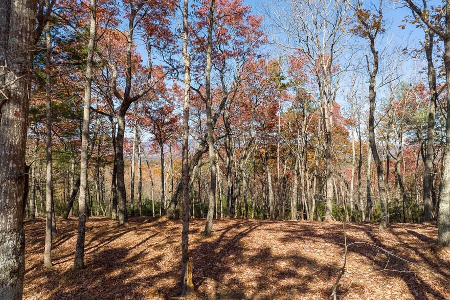 LOT 41 Preserve Trail, Ellijay, Georgia