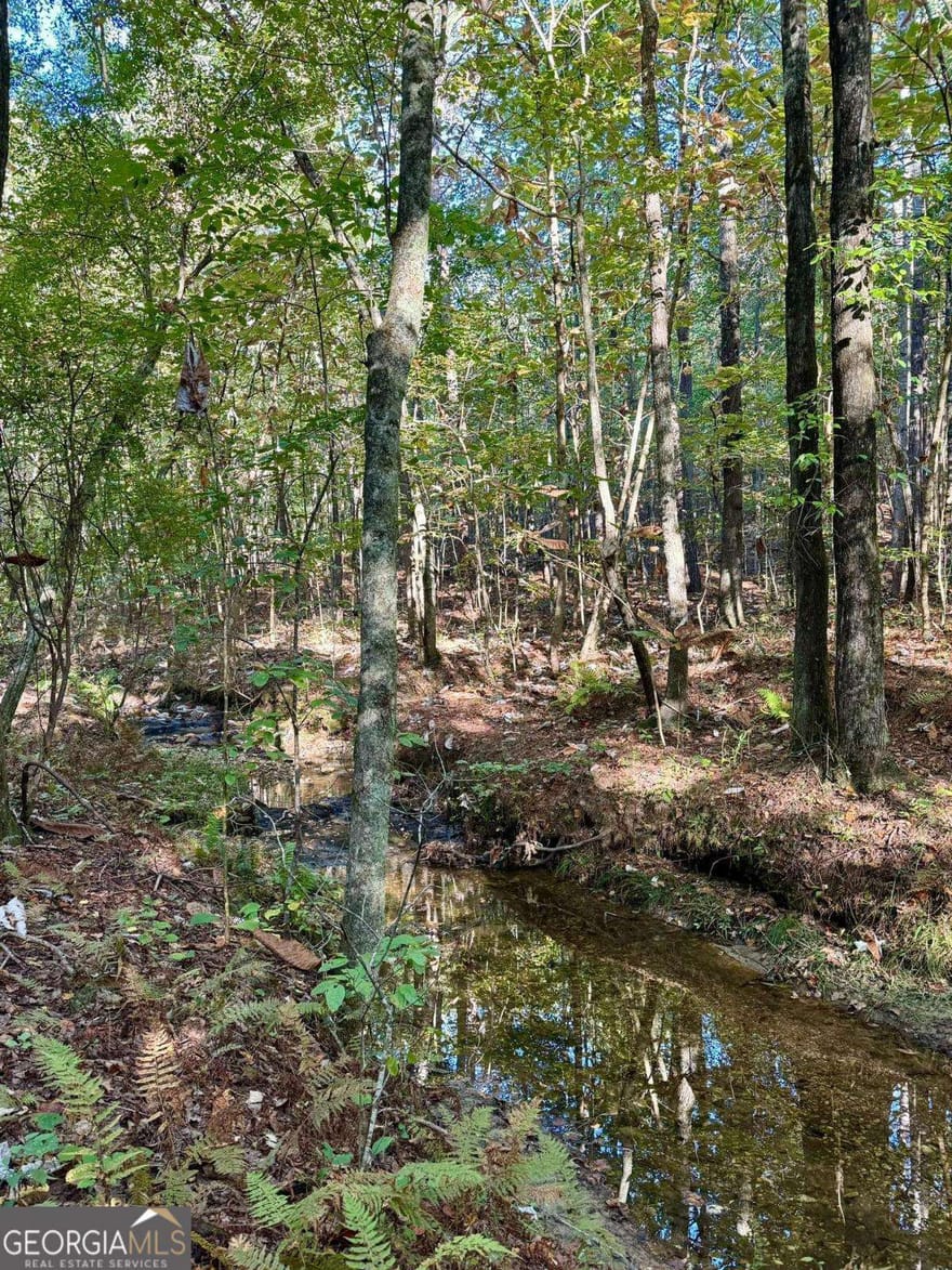 #17 Lone Bear Path, Dallas, Georgia