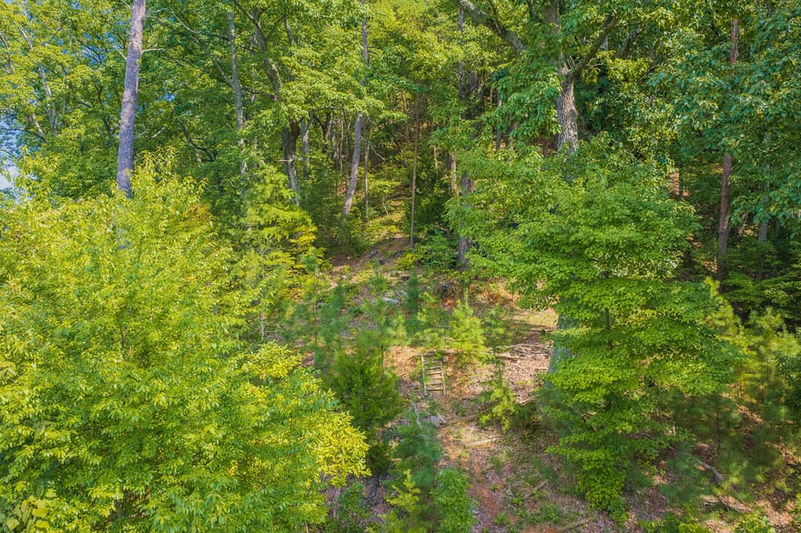 104 Hopewell Drive, Ranger, Georgia