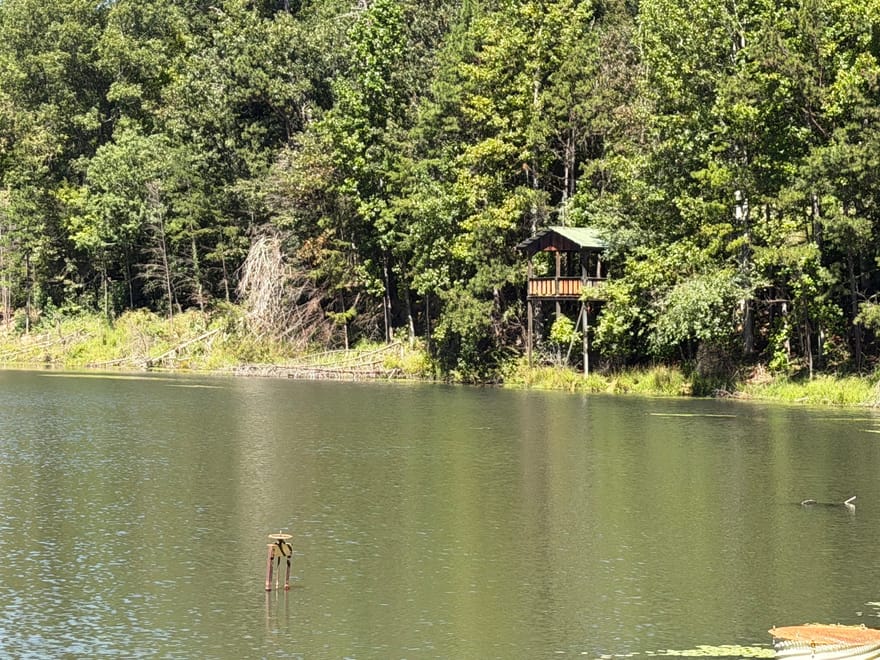 263 Cole Lake Drive, Toccoa, Georgia