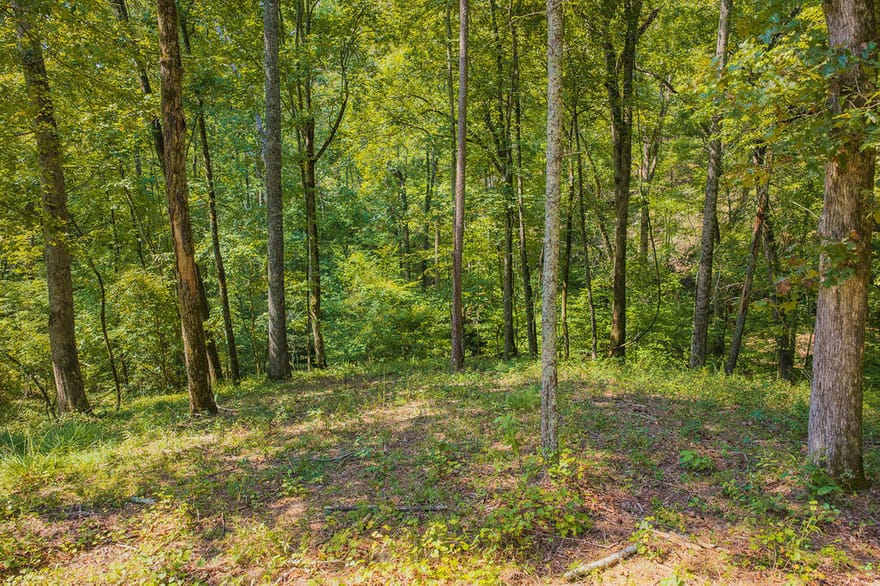LOT 344 Lower Knoll Court, Talking Rock, Georgia