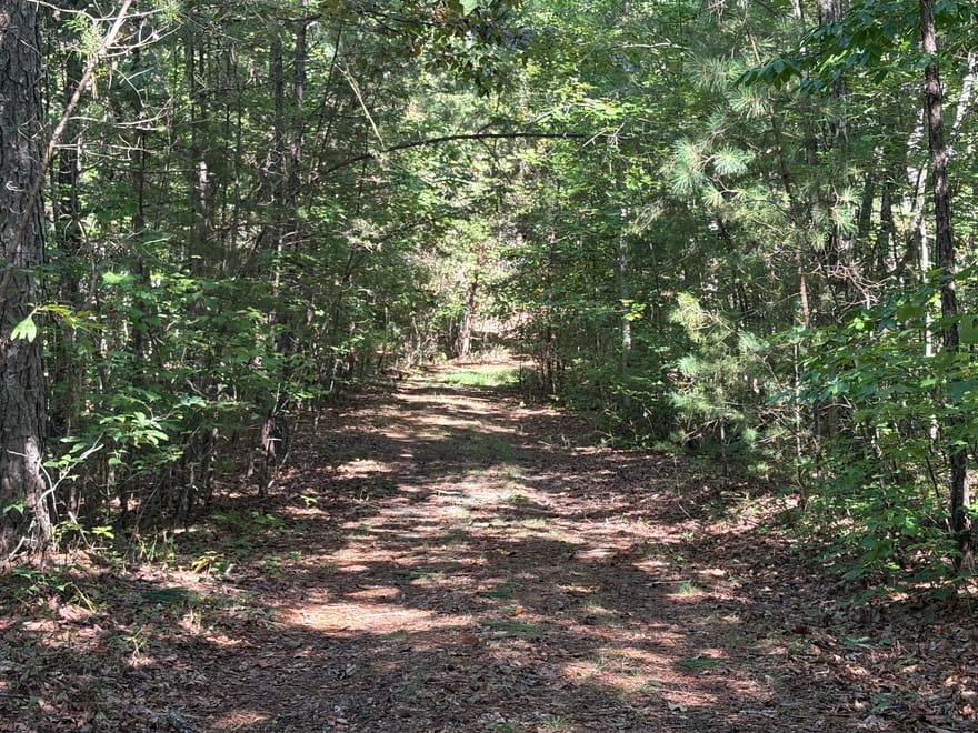 29A Hillstead Trace, Ellijay, Georgia