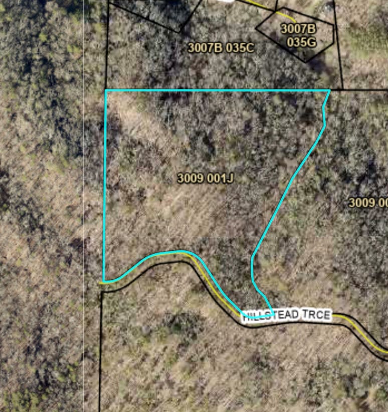 29A Hillstead Trace, Ellijay, Georgia