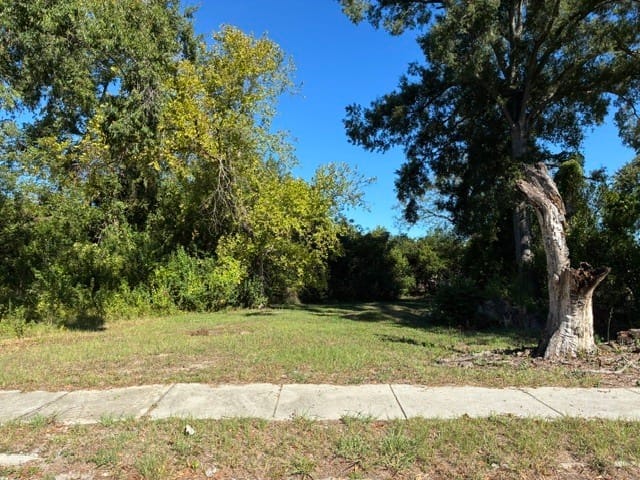 1919 Steiner Avenue, Augusta, Georgia