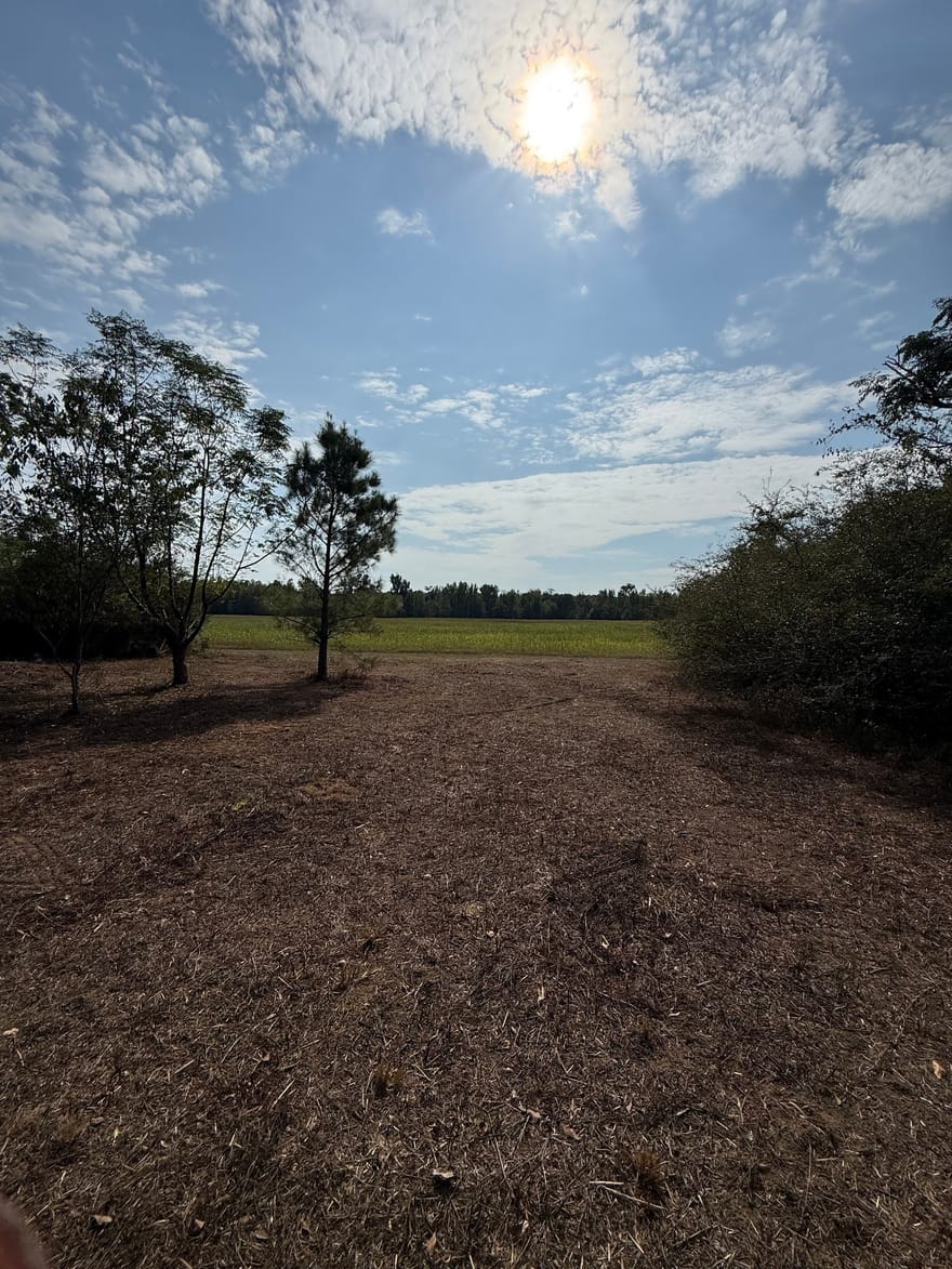 S Bartow Road, Bartow, Georgia