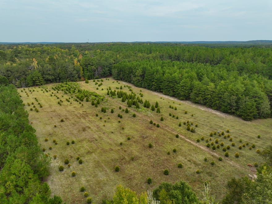 5889 Hammock Road, Macon, Georgia