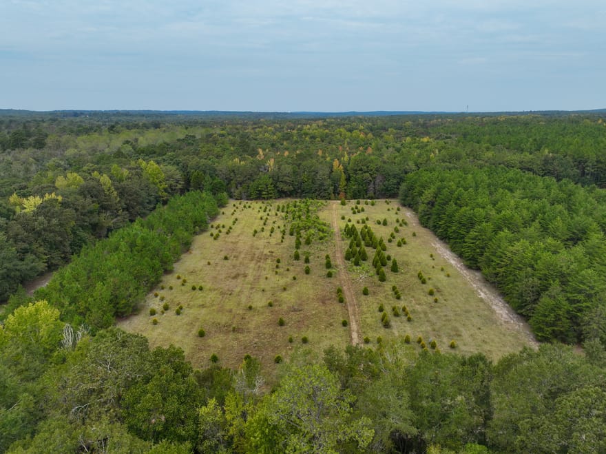 5889 Hammock Road, Macon, Georgia