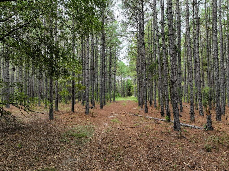5889 Hammock Road, Macon, Georgia