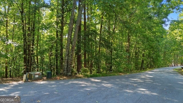 Rome Beauty Lane, Clarkesville, Georgia