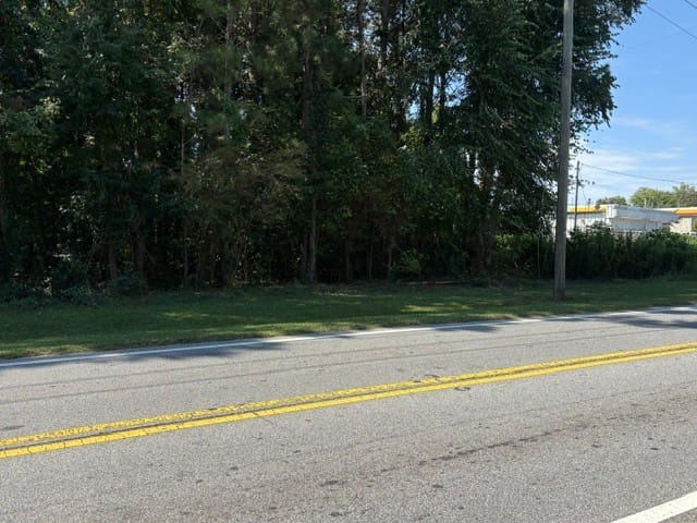 Bethsaida Road, Riverdale, Georgia