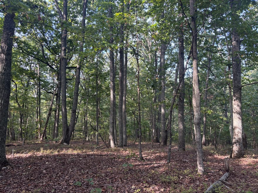 Killarney Way, Kingston, Georgia