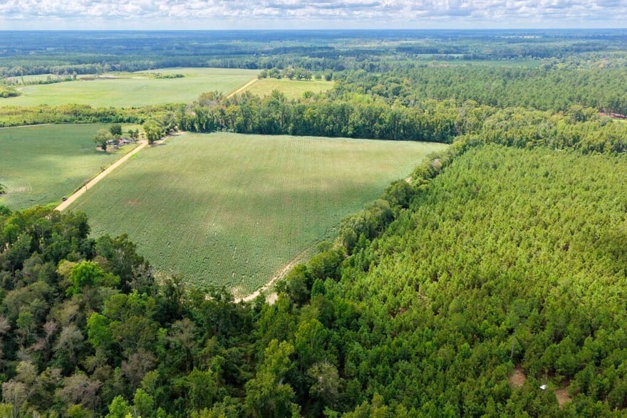 Watson & Cedar Lawn Roads, Metter, Georgia