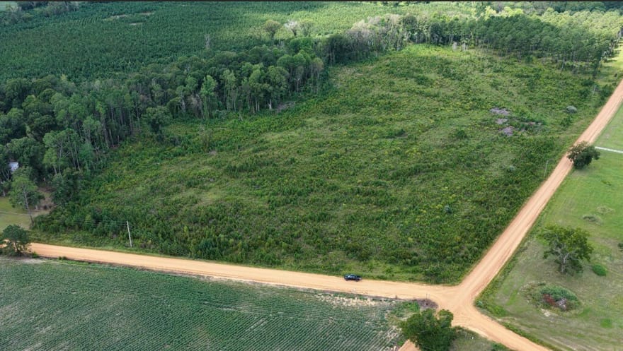 Watson & Hendricks Roads, Metter, Georgia