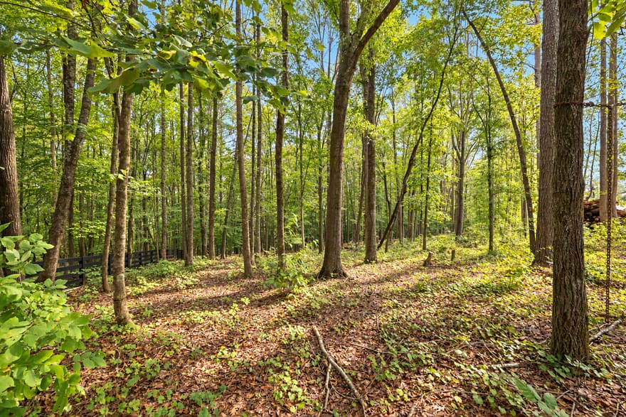 421 River Bluff Lane, Ball Ground, Georgia