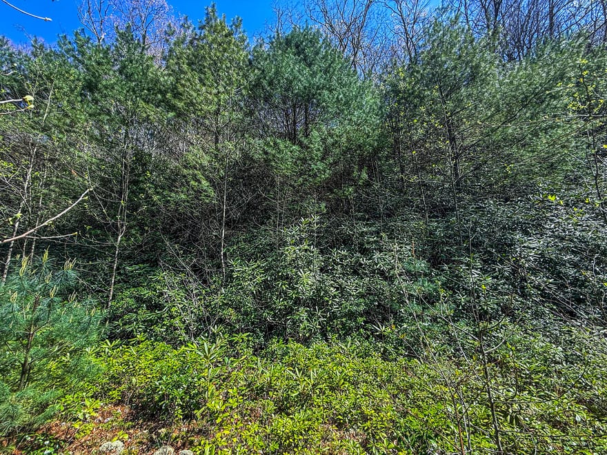 TR 5 Outback Lane, Rabun Gap, Georgia