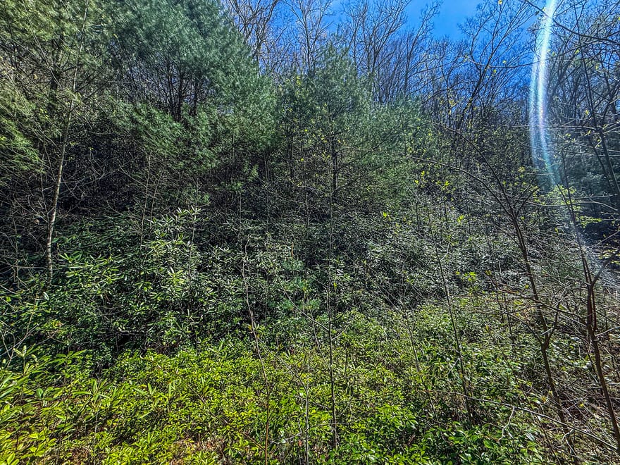 TR 5 Outback Lane, Rabun Gap, Georgia