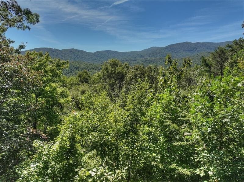 300 Cloudland Trace, Epworth, Georgia