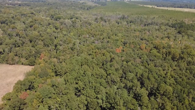 196 Gumlog Road, Kite, Georgia