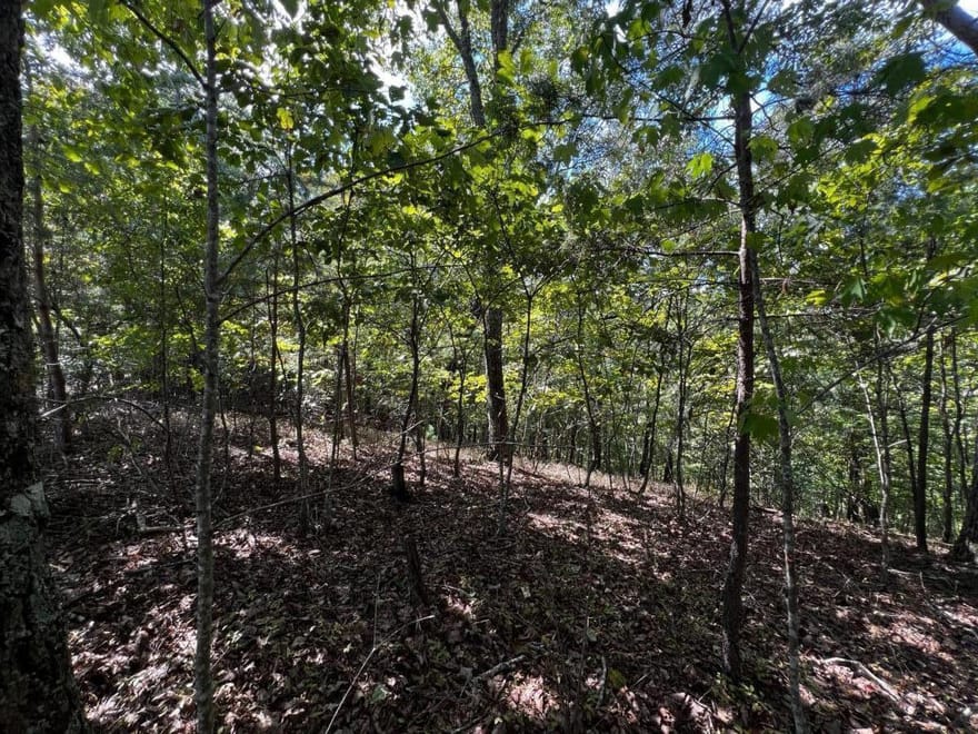 1407 Foxhound Trail NE, Ranger, Georgia