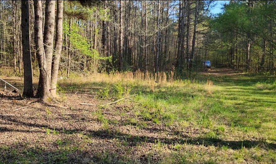 Pierce Dairy Road, Madison, Georgia